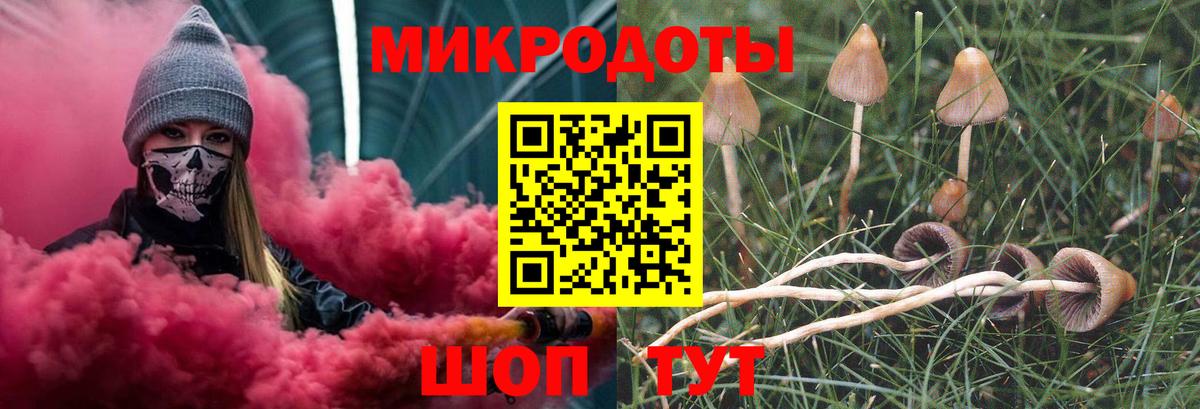 Псилоцибиновые грибы ЛСД Борзя