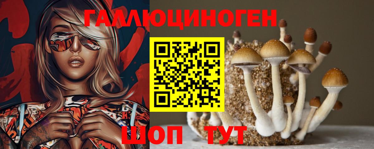 Галлюциногенные грибы прущие грибы  Псилоцибиновые грибы Psilocybine cubensis  Вход с VPN  Борзя 